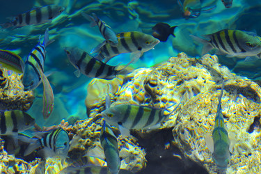 Similar image 19743100