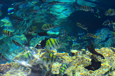 Similar image 19200224