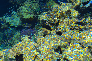 Similar image 19200236