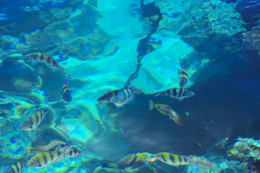 Similar image 19200279