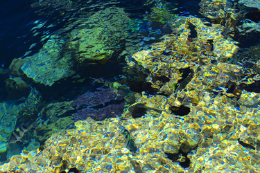 Similar image 19200300