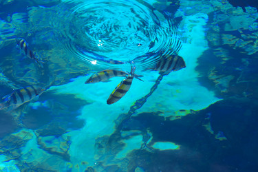 Similar image 19200303