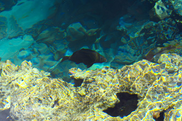 Similar image 19200306