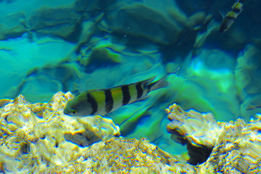 Similar image 19200311