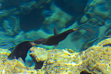 Similar image 19200321