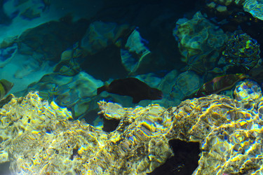 Similar image 19200323