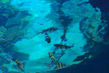 Similar image 19200327