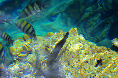 Similar image 19200288