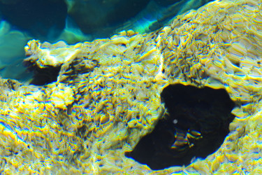 Similar image 19200289