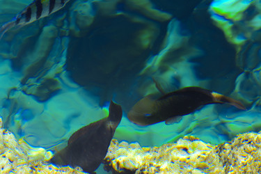 Similar image 19200292