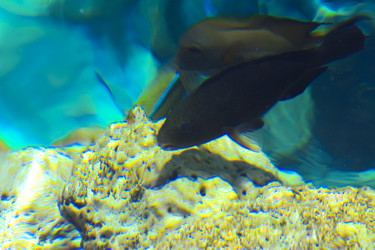 Similar image 19200294