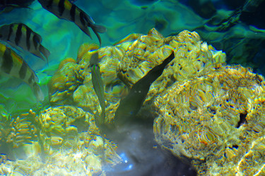 Similar image 19200296