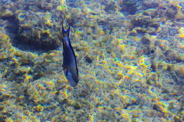 Similar image 19200297