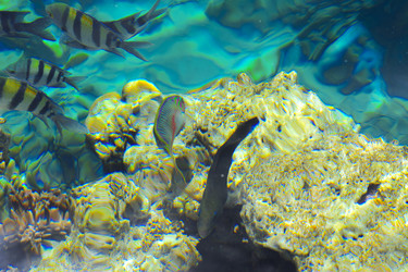 Similar image 19200298