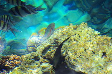 Similar image 19200301