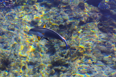 Similar image 19200305