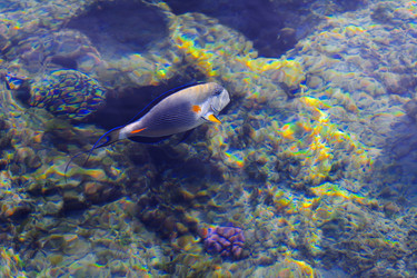 Similar image 19200307