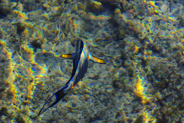 Similar image 19200316