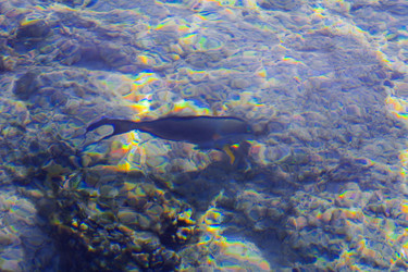 Similar image 19200432