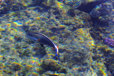 Similar image 19200443