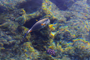 Similar image 19743101