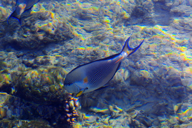 Similar image 19743102