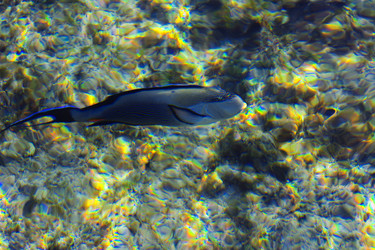 Similar image 19743106