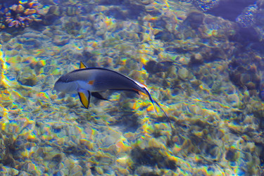 Similar image 19743110