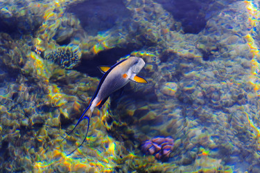 Similar image 19743123