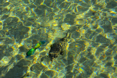 Similar image 19743041