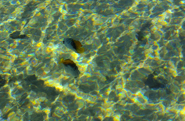 Similar image 19743042