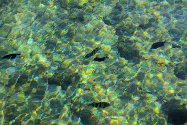 Similar image 19743043