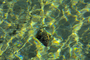 Similar image 19743044