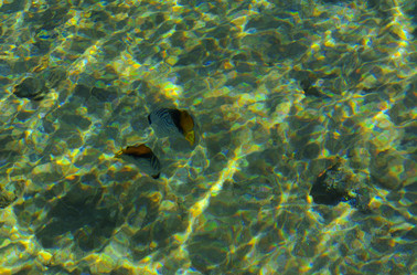 Similar image 19743045