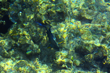 Similar image 19743049