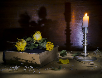 Similar image 19196023