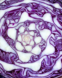 Similar image 19193068