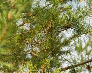 Similar image 19196034