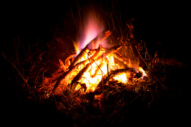 Similar image 19196036