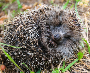 Similar image 19196038