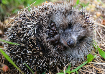 Similar image 19196039