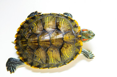 Similar image 19196043