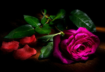 Similar image 19196050