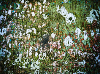 Similar image 19196052