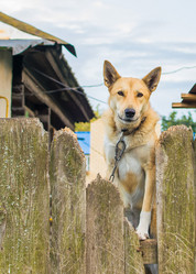 Similar image 19196062