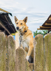 Similar image 19196063