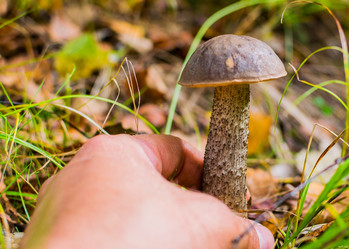 Similar image 19196064