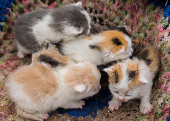 Similar image 19196066