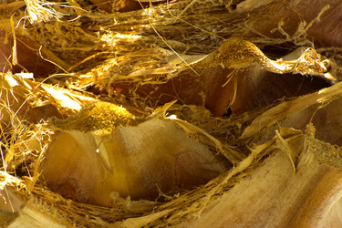 Similar image 19743021