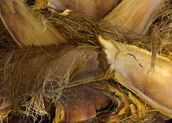 Similar image 19743051